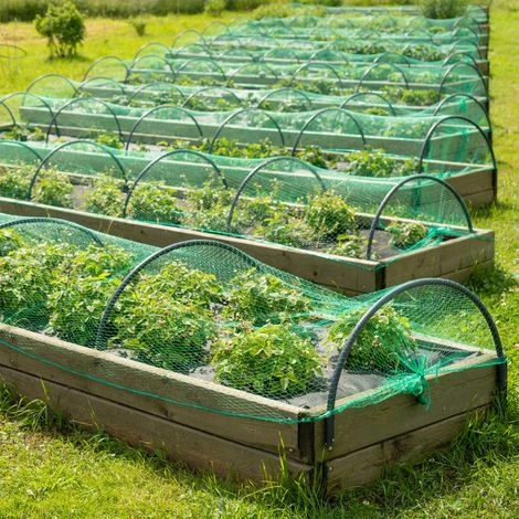 WILTEC Filet Anti-oiseaux Polyéthylène 2x5m Maille 15x15mm Résistant Intempéries Et UV Protection Bassin – Image 2