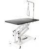 WILTEC Table De Toilettage Hydraulique Pliable Table De Soins Pour Chiens Et Chats