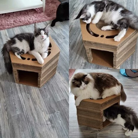 WILTEC Griffoir Activité Ludique Meuble Pour Chat Entretien De Griffes Grattoir Patin à Gratter Animaux – Image 2