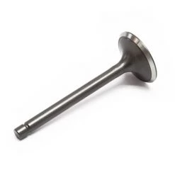 WILTEC Pièce Dètachée Soupape D'admission Moteurs Essence 13 CV